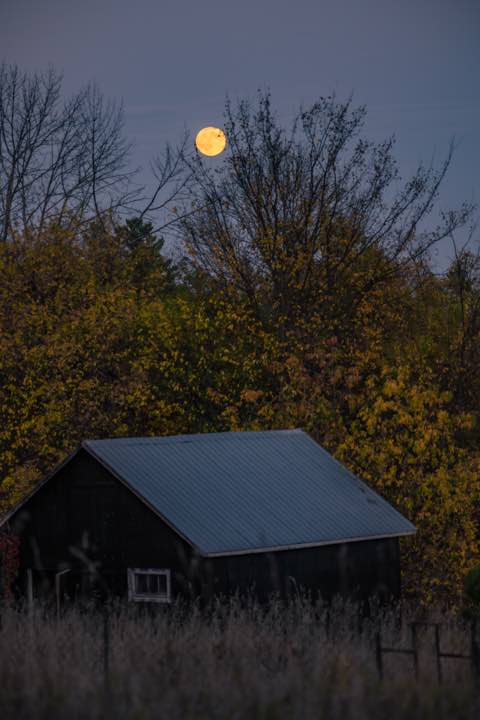 加拿大 第 8 张照片