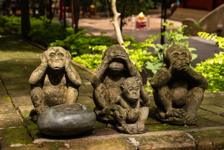 清迈 第 3 张照片