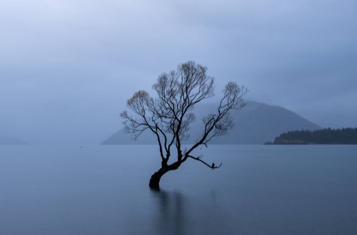 新西兰 第 6 张照片