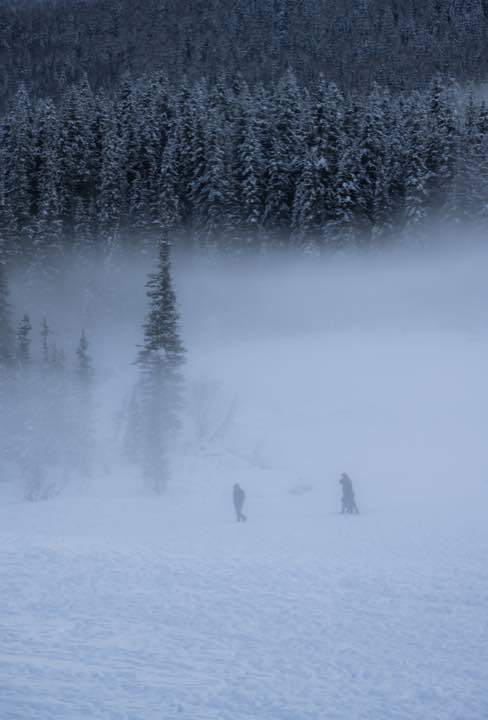 新疆阿勒泰 第 2 张照片