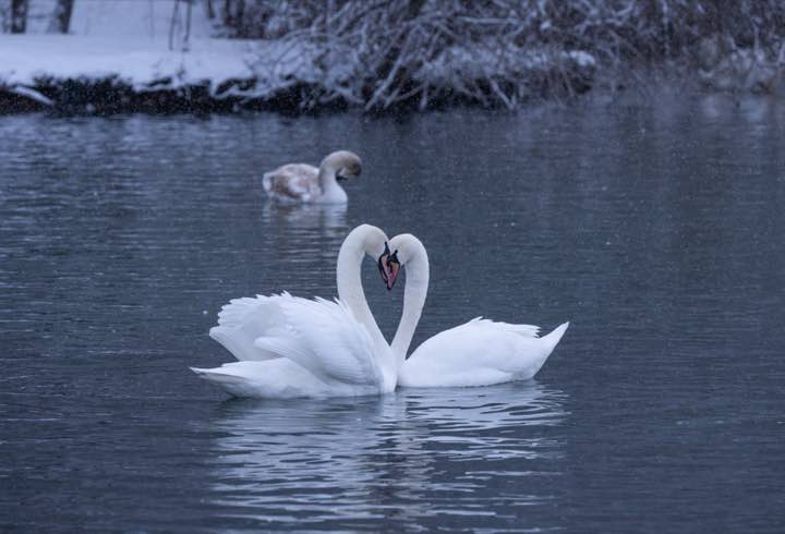 新疆阿勒泰 第 4 张照片